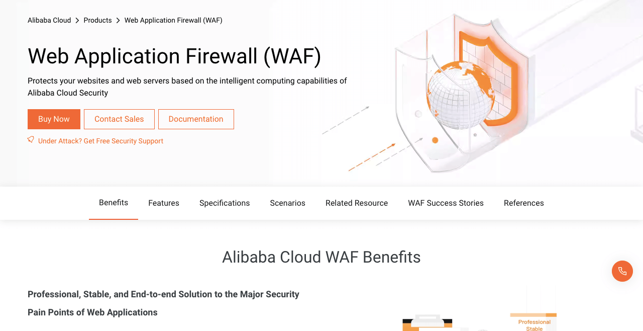 Alibaba Cloud Web Application Firewall